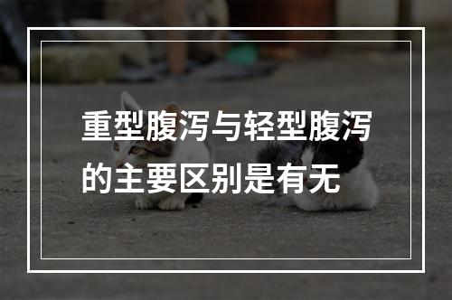 重型腹泻与轻型腹泻的主要区别是有无