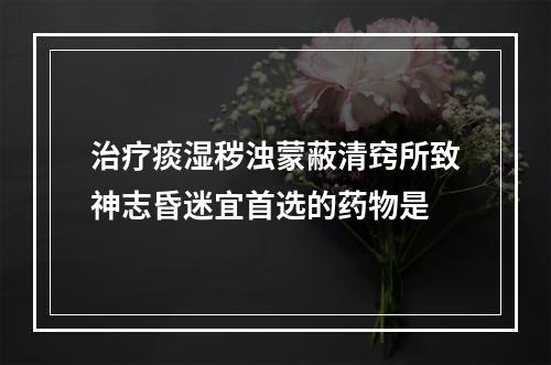 治疗痰湿秽浊蒙蔽清窍所致神志昏迷宜首选的药物是