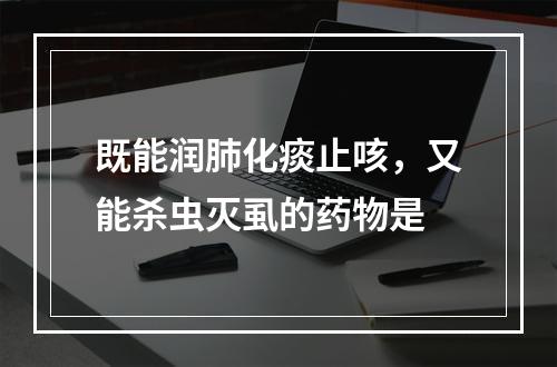 既能润肺化痰止咳，又能杀虫灭虱的药物是