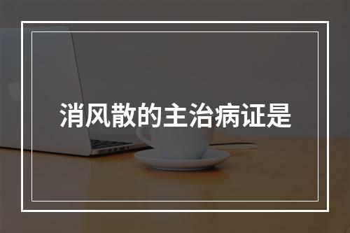 消风散的主治病证是