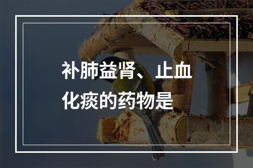 补肺益肾、止血化痰的药物是