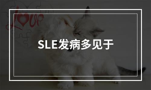 SLE发病多见于