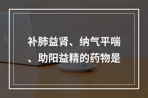 补肺益肾、纳气平喘、助阳益精的药物是