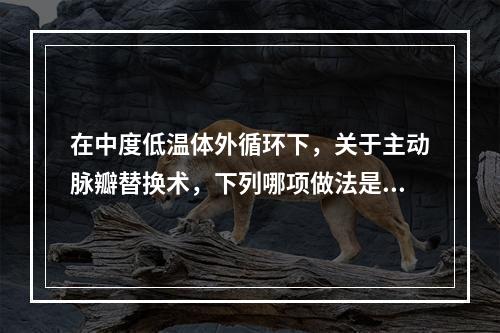 在中度低温体外循环下，关于主动脉瓣替换术，下列哪项做法是不正