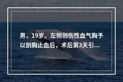 男，19岁。左侧创伤性血气胸予以剖胸止血后，术后第3天引流减