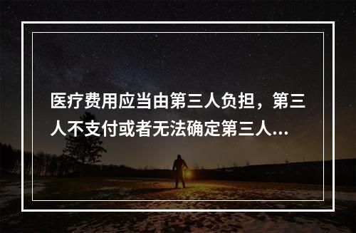 医疗费用应当由第三人负担，第三人不支付或者无法确定第三人的，