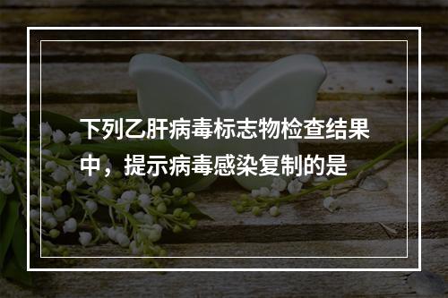 下列乙肝病毒标志物检查结果中，提示病毒感染复制的是