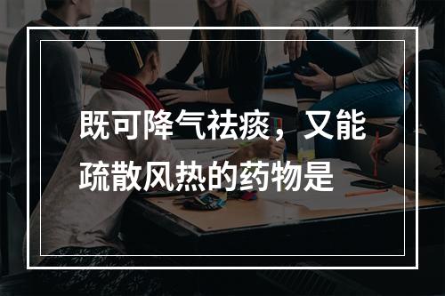 既可降气祛痰，又能疏散风热的药物是