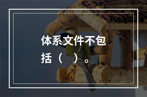 体系文件不包括（　）。