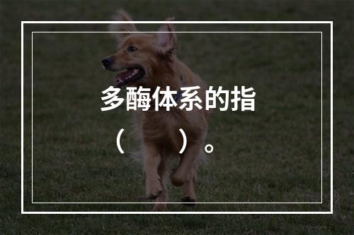 多酶体系的指（　　）。