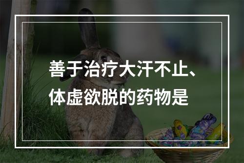 善于治疗大汗不止、体虚欲脱的药物是