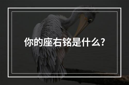 你的座右铭是什么?