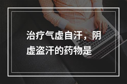 治疗气虚自汗，阴虚盗汗的药物是