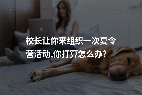 校长让你来组织一次夏令营活动,你打算怎么办?