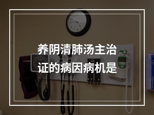 养阴清肺汤主治证的病因病机是