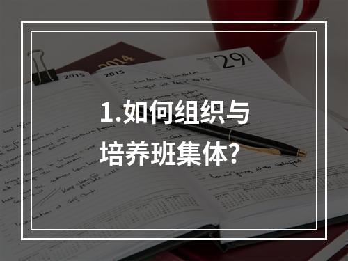 1.如何组织与培养班集体?