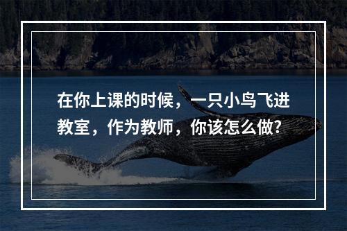 在你上课的时候，一只小鸟飞进教室，作为教师，你该怎么做?