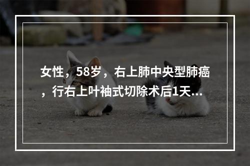 女性，58岁，右上肺中央型肺癌，行右上叶袖式切除术后1天，咳