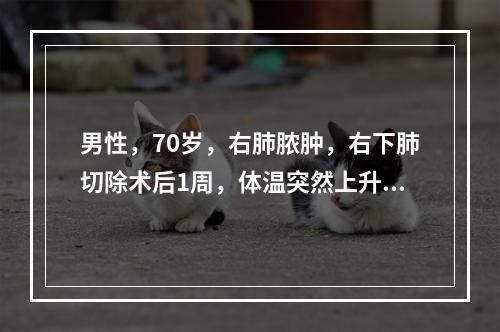 男性，70岁，右肺脓肿，右下肺切除术后1周，体温突然上升，伴