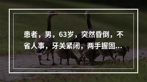 患者，男，63岁，突然昏倒，不省人事，牙关紧闭，两手握固，四