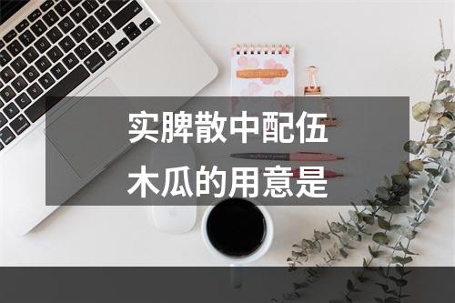 实脾散中配伍木瓜的用意是