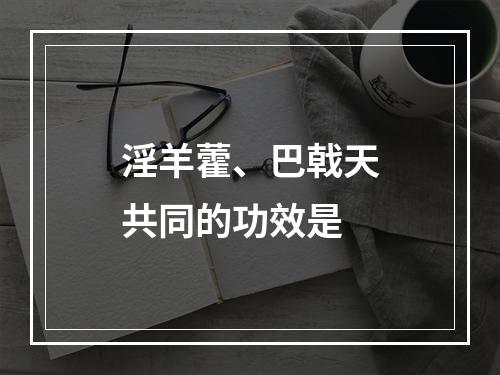 淫羊藿、巴戟天共同的功效是