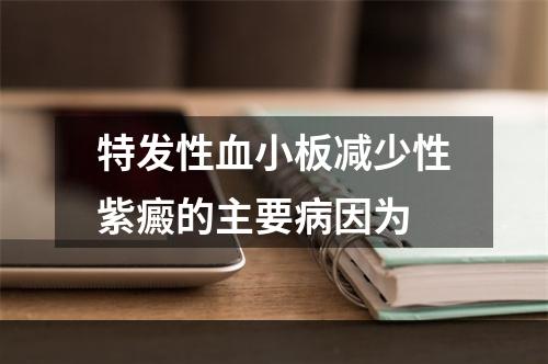 特发性血小板减少性紫癜的主要病因为