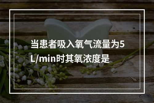 当患者吸入氧气流量为5L/min时其氧浓度是