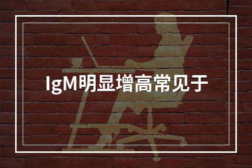 IgM明显增高常见于