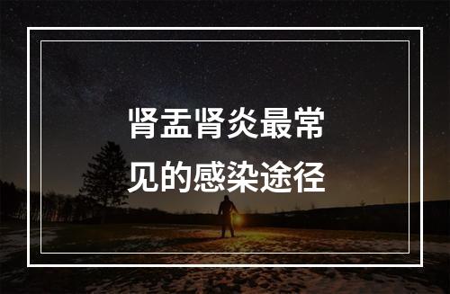 肾盂肾炎最常见的感染途径