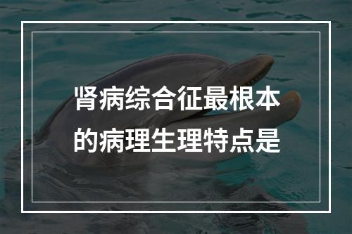 肾病综合征最根本的病理生理特点是