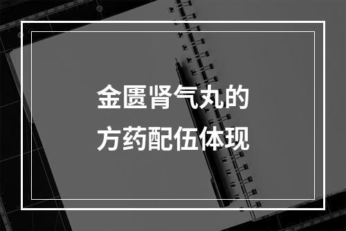 金匮肾气丸的方药配伍体现