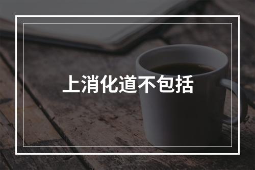 上消化道不包括