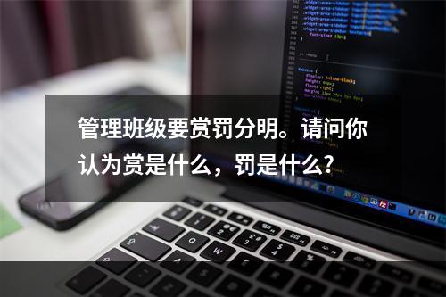 管理班级要赏罚分明。请问你认为赏是什么，罚是什么?