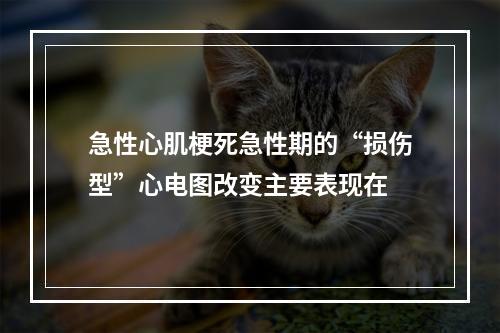 急性心肌梗死急性期的“损伤型”心电图改变主要表现在