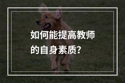 如何能提高教师的自身素质？