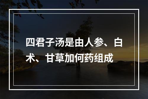 四君子汤是由人参、白术、甘草加何药组成