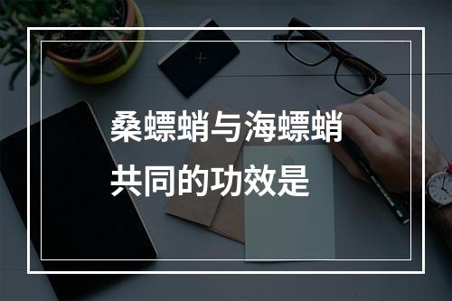 桑螵蛸与海螵蛸共同的功效是