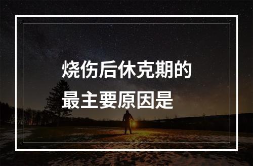 烧伤后休克期的最主要原因是