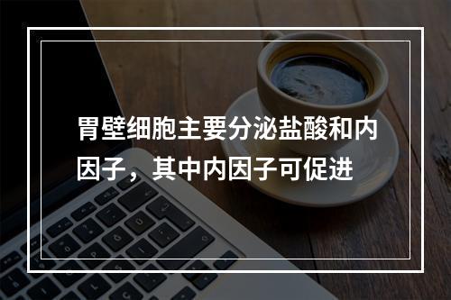 胃壁细胞主要分泌盐酸和内因子，其中内因子可促进