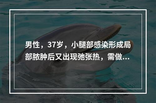 男性，37岁，小腿部感染形成局部脓肿后又出现弛张热，需做血培