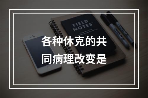 各种休克的共同病理改变是