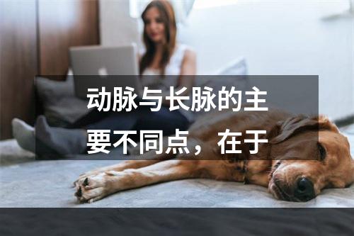 动脉与长脉的主要不同点，在于