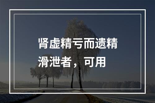 肾虚精亏而遗精滑泄者，可用