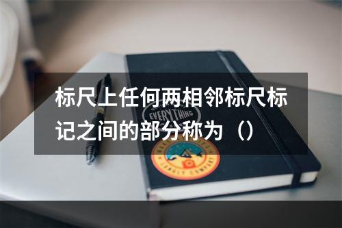 标尺上任何两相邻标尺标记之间的部分称为（）