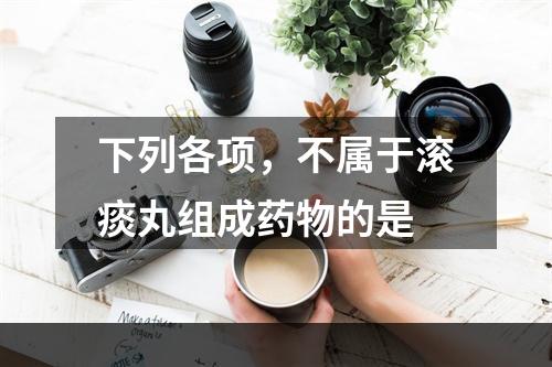 下列各项，不属于滚痰丸组成药物的是