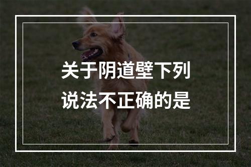 关于阴道壁下列说法不正确的是