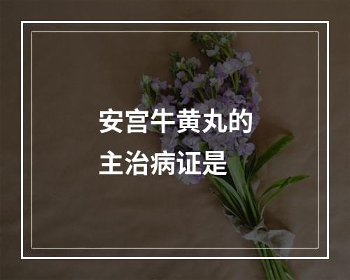 安宫牛黄丸的主治病证是