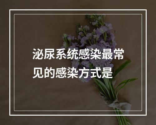 泌尿系统感染最常见的感染方式是