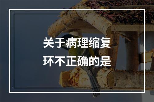 关于病理缩复环不正确的是